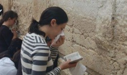 娱乐吃瓜君名媛是谁啊免费阅读,名媛身份大揭秘，免费阅读带你一探究竟