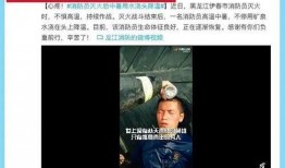 武汉小蜜蜂爆料事件视频,揭秘背后真相与网络舆论风暴